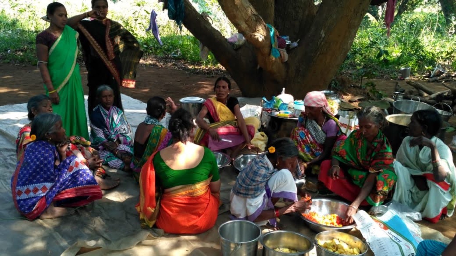 A group of women preparing food together under a tree during fieldwork